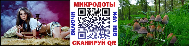 Галлюциногенные грибы Magic Shrooms Тбилисская